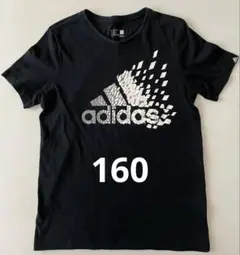 adidas グラフィックTシャツ 160cm