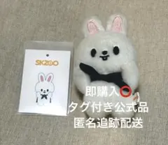 StrayKids リービット ぬいぐるみ まとめ売り 2026年最新】skzoo リービット ぬいぐるみの人気アイテム - メルカリ