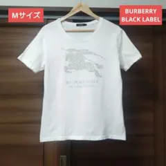 Item thumbnail for item 79085a9d-936f-4202-85df-d15d6e1fea88