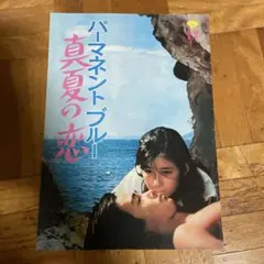 パーマネントブルー 真夏の恋 映画パンフレット