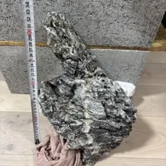ADA 龍王石 極上 60cm～90cm親石のサムネイル