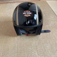 Item thumbnail for item e7b69104-02d5-489e-bf1f-25bd24774ab1