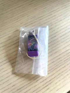 【Kumi様専用】ガリガリ君