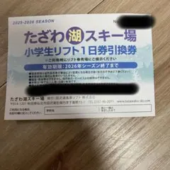 2026年最新】田沢湖スキー場の人気アイテム - メルカリ