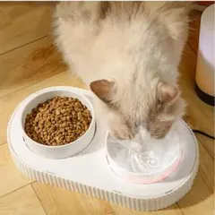 Item thumbnail for item 9d1a06e5-cb29-4e42-9498-5fc2dc696730