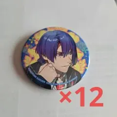 うたのプリンスさまっ 聖川真斗 缶バッジ 12個セット