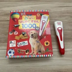 はじめてずかん1000