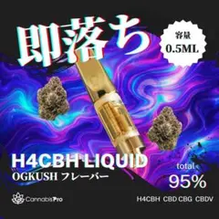 2026年最新】H4CBHの人気アイテム - メルカリ