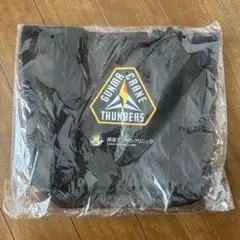 群馬クレインサンダーズ メッシュトートバッグ 【1個】