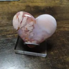 MIHO TOYODA様•*¨*•.¸♬︎