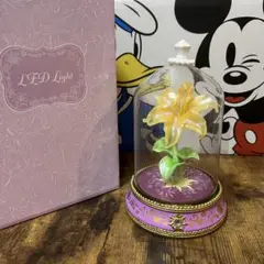 ラプンツェル LEDライト1セット+箱+おまけ ディズニーストア LEDライト ラプンツェル パスカル フィギュア
