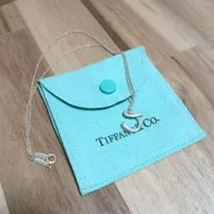 Tiffany & Co. シルバーフックネックレス
