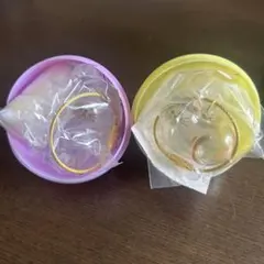 うちの子のけだまだま シャム 三毛猫