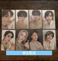 Stray Kids dominATE DVD 封入 トレカ 8枚セット