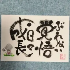 筆文字アート ぶれない覚悟 書道作品 ポストカード 画仙紙はがき