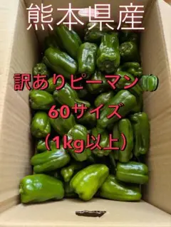 朝どれ新鮮✨産地直送☀️高知県産ピーマン3キロ送料込み！減農薬栽培