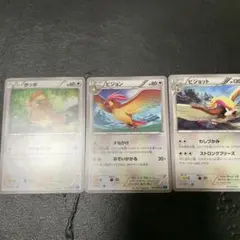ポケモンカード ポッポ ピジョン ピジョット 3枚セット