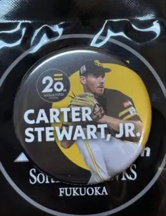 【バラ売り可】福岡ソフトバンクホークス20周年缶バッジ