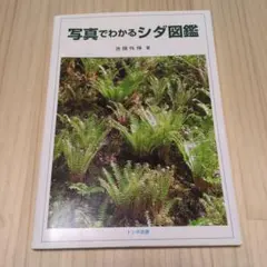 熱帯魚繁殖大鑑　東博司　緑書房 熱帯魚繁殖大鑑 東博司 緑書房 | APPS-BICENTENARIO-PRD-01