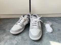 NIKE ナイキ ダンクローレトロ ピュアDJ6188-001