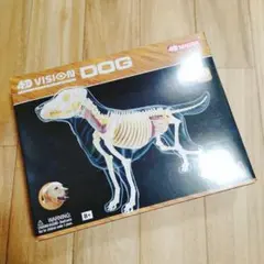 4D VISION Brachiosaurus 解剖模型/ブラキオサウルス - メルカリ