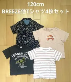 120cm 恐竜柄・ボーダーのTシャツ4枚セット