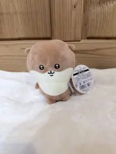 ナガノのカワウソ ぬいぐるみくじ D賞 マスコット