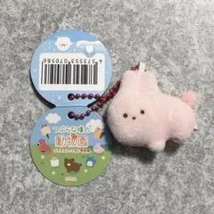 つぶらな瞳の動物園 うさぎ