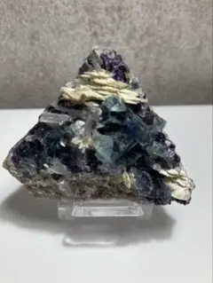 2025年最新】フローライト共生の人気アイテム - メルカリ