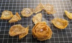 Item thumbnail for item b50a4061-448f-4e42-b13a-13424f4f74db