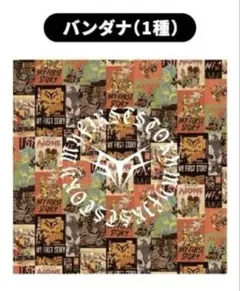 1993年 プリンセスプリンセス バンダナ 10周年記念 希少 激レア 当時物