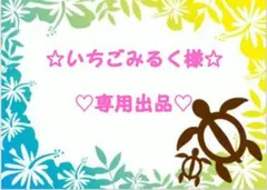 いちごみるく様☆専用出品☆