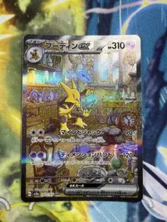2026年最新】フーディン sarの人気アイテム - メルカリ