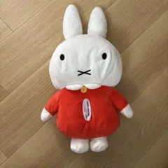 Item thumbnail for item 309e5221-e3a2-4549-abf9-5c34aaec6482