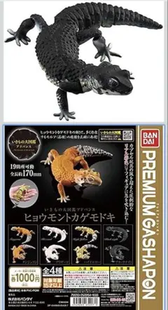 ヒョウモントカゲモドキ いきも大図鑑 ガチャ3体セット レアあり