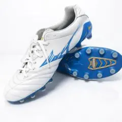 ヘ*タ様 MONARCIDA NEO