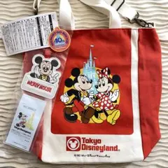 ミッキー ミニー ディズニー 40周年 ショルダーバック レトロ バック ディズニー 40周年 ショルダーバッグ ミッキー ミニー トート