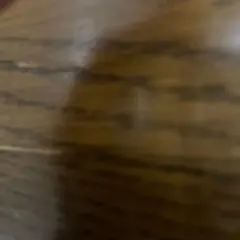 ブラウン スケートボード ステッカー