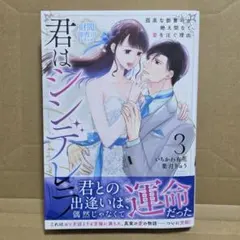 新刊　君はシンデレラ～孤高な御曹司が絶え間なく愛を注ぐ理由～ 3