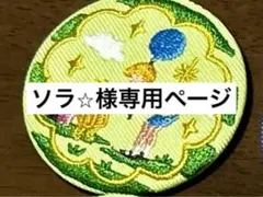 ソラ⭐︎様専用ページ　1点