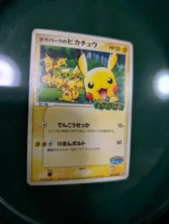 ポケパークのピカチュウ PROMO PCG-Pプロモカード 043/PCG-P