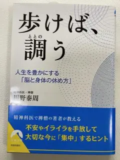 歩けば、調う 川野泰周著