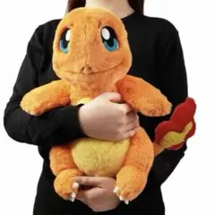 【即日発送】中国ポケモンセンター限定 ヒトカゲ ぬいぐるみ タグ付 即日発送】中国ポケモンセンター限定 ヒトカゲ ぬいぐるみ タグ付