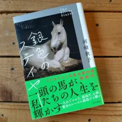 銀色のステイヤー