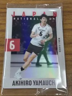 山内晶大 グッズ 2025年最新】大阪ブルテオン 山内晶大の人気アイテム - メルカリ