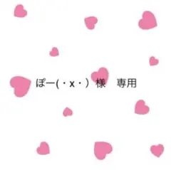 ぽー(・ⅹ・)様 専用