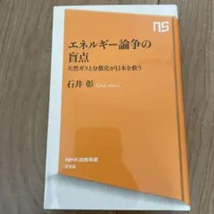 エネルギー論争の盲点 : 天然ガスと分散化が日本を救う