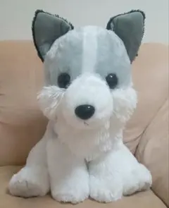 2025年最新】もふっとオオカミの人気アイテム - メルカリ