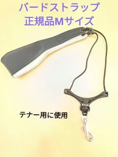 Item thumbnail for item eaad7088-efe4-4138-8df1-c2381c534863