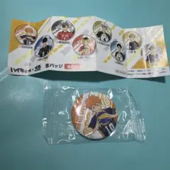 【未開封】ハイキュー!! 日向翔陽 缶バッジ 10